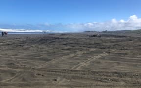 Landscape photo of Muriwai Beach, with vehicle tracks in the foreground.