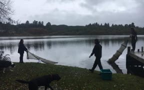 Catfish eradication