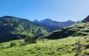 Mt Hikurangi, Tai Rāwhiti