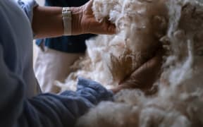 Wool grading