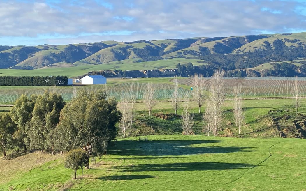 Wairarapa vineyards in winter