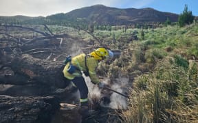 A huge forestry fire near the Central Hawke's Bay village of Pōrangahau last week took days to extinguish.