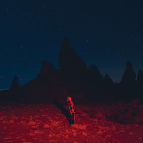 Phoebe Bridgers Punisher album cover