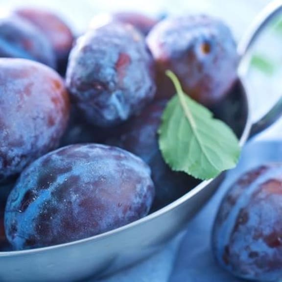 Black Doris Plums