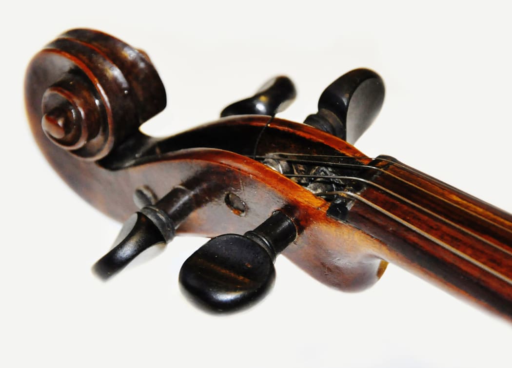Violin tuning pegs