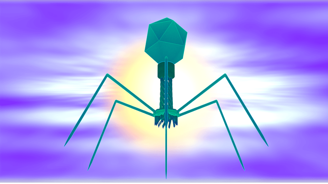A bacteriophage looks like a moon lander