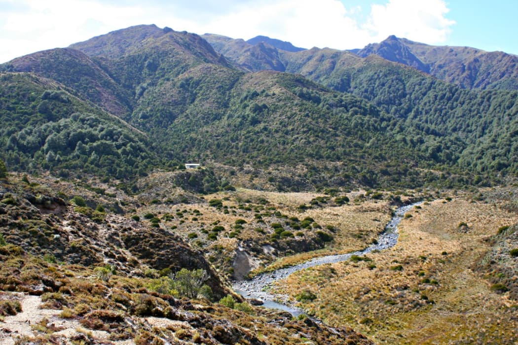 The men fled into the Kaimanawa Forest