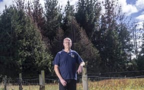 Tuatapere man Andy Pender, a former British army sergeant, says he poisoned dozens of pine trees which prevent morning sun from hitting his house. Pender is standing on the boundary of his property, with some of the dying pine trees behind.