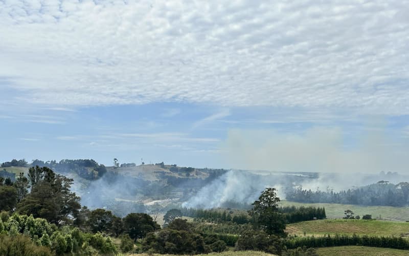 Large scrub fire near SH2 in Bay of Plenty | RNZ