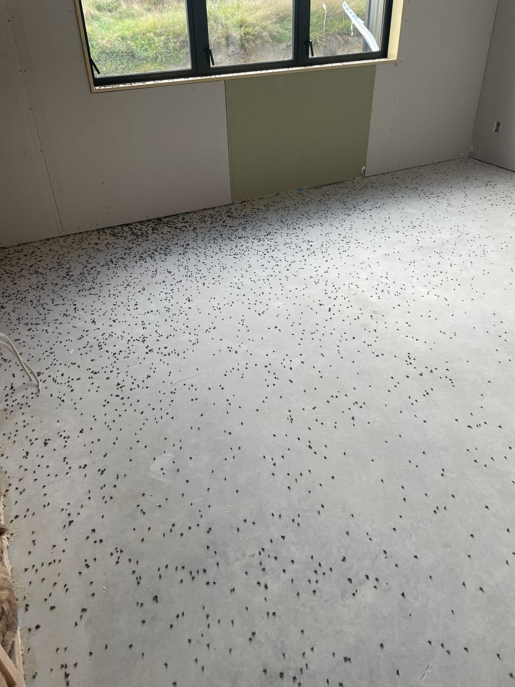 "Set off some fly bombs on site last night. Came in to this this morning." Jeremy Long