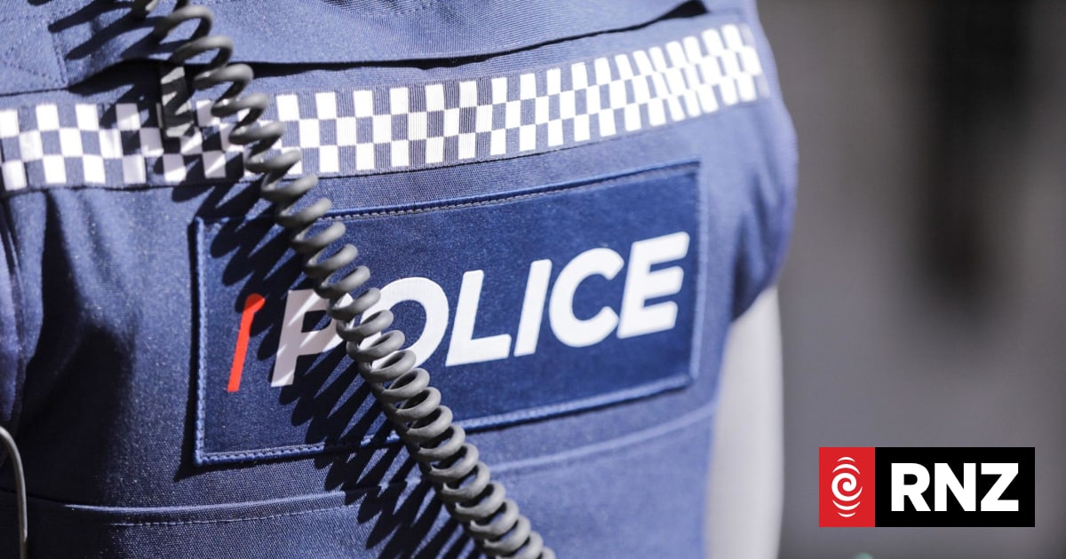 Officer justified in using police dog to catch fleeing Hamilton teen ...