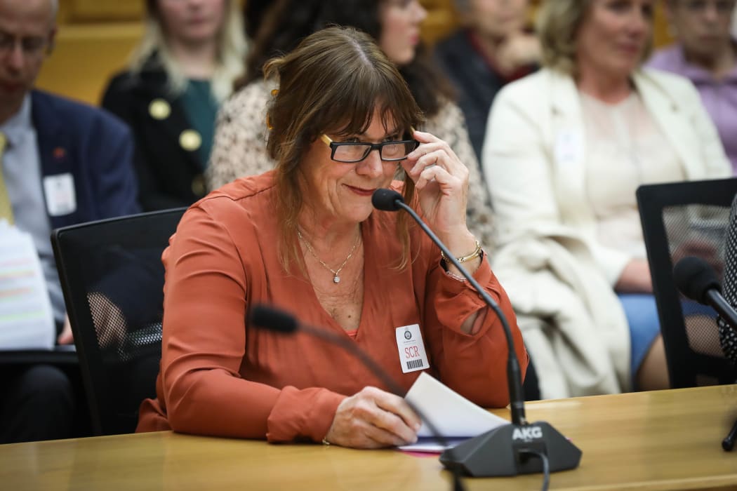 Chairperson of the New Zealand Medical Association Kate Baddock speaks to the Abortion Legislation Committee