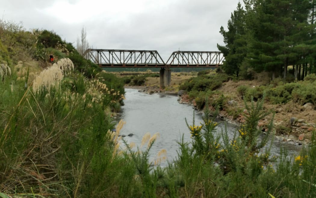 The current rail bridge at Tangiwai with a deceptively calm Whangaehu stream running under it.
