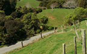 Fencing at the Moss's farm in Raglan.