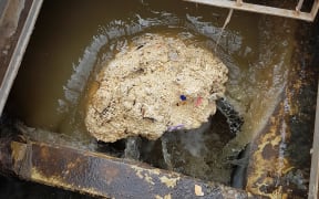A large ball of fat detected at the New Plymouth Wastewater Treatment Plant, 2021.