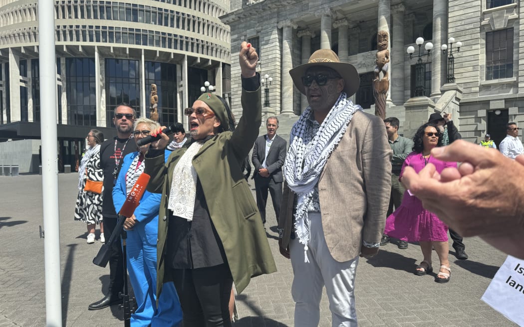 Politicians and protesters gathered on the steps at parliament on 13 February 2024, calling for more action in regards to the war in Gaza.