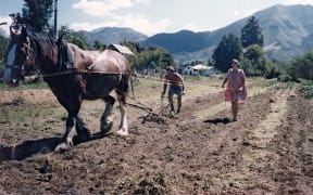 Cultivating_the_kitchen_gardens_with_Pete