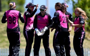 The Women and Cricket report reveals only  ten percent of players in the sport are female and of those 90 percent are under 12.