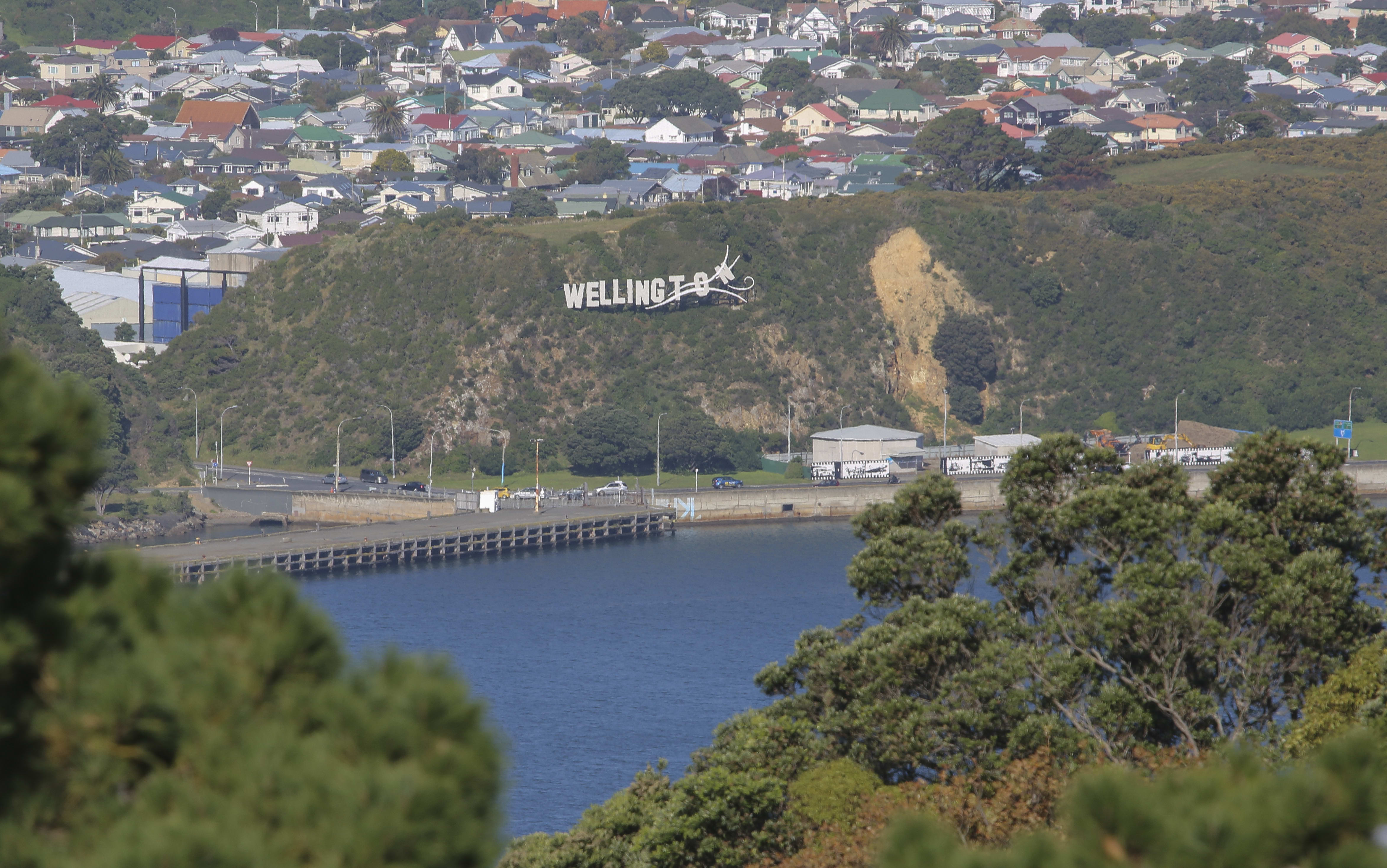 Wellington generic