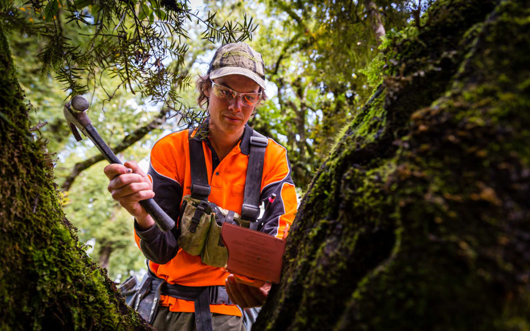 PredatorFree NZ's Apprentice Programme will end with Jobs for Nature funding mid-next year, if a new source of money isn't found.