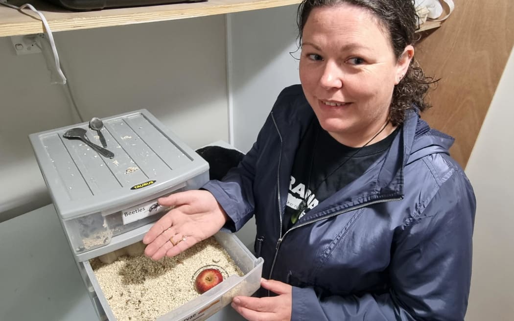 Melissa Ferguson of Little Insect Farm. with her demonstration meal worm farm and two meal worm lavae which is the stage in the bug's life cycle humans can eat them.