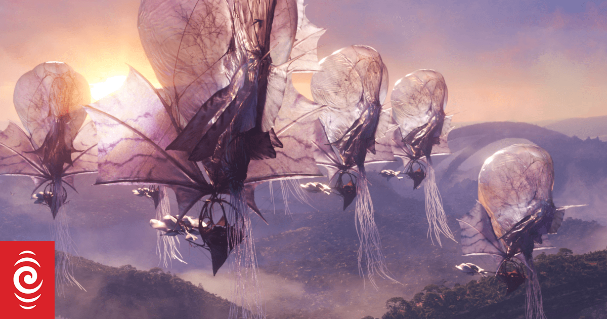 Wellington braces for influx of visitors for 'Avatar' premiere, cricket