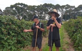 Julians Berry Farm owner and manager Paul Julian and a staff member.