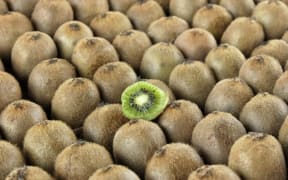 Green kiwifruit growers got their highest ever return per hectare of $53,884 and just over $6 a tray.