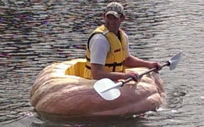 Tim Harris sailing his giant pumpkin on Turtle Lake at the Hamilton Gardens.