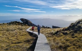 The Hump Ridge Track near Tuatapere.