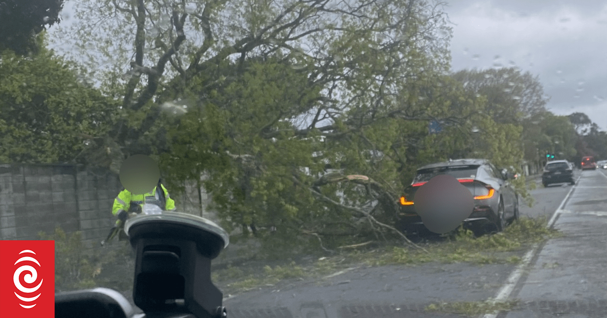 Live weather: Flights halted, trees downed, thousands lose power in heavy wind