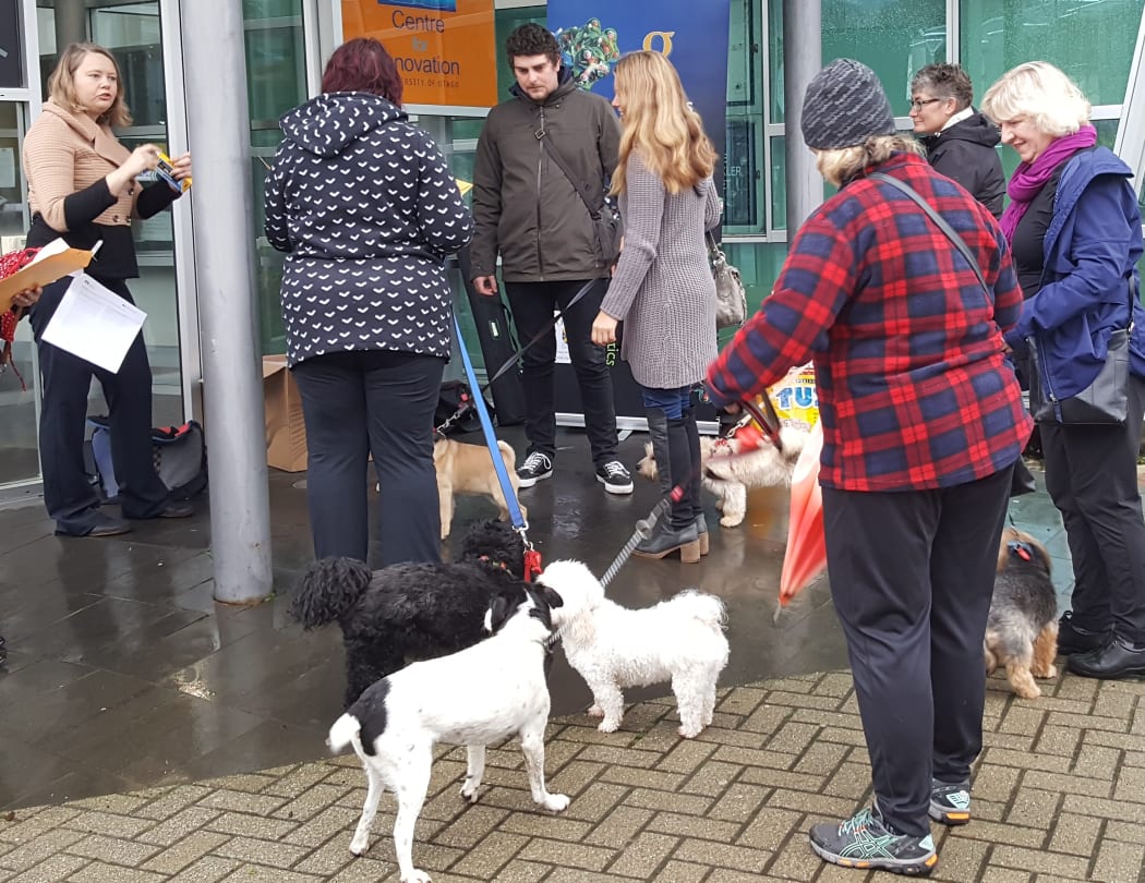 People and dogs