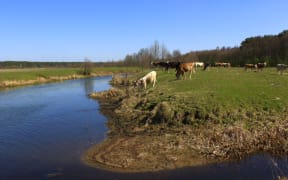 The only answer was for the government to be stricter on the intensification of dairy farming said Dr Mike Joy.