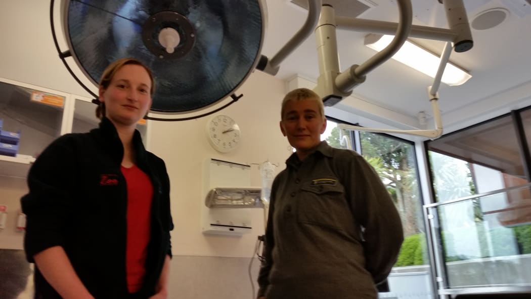 Wellington Zoo veterinarian Baukje Lenting and Department of Conservation vet Kate McInnes.
