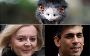 Rishi Sunak, Liz Truss and an emu