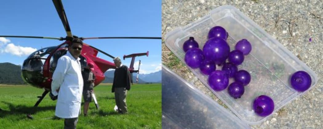 A photo of the helicopter, and the tough gel balls before being thrown out the window