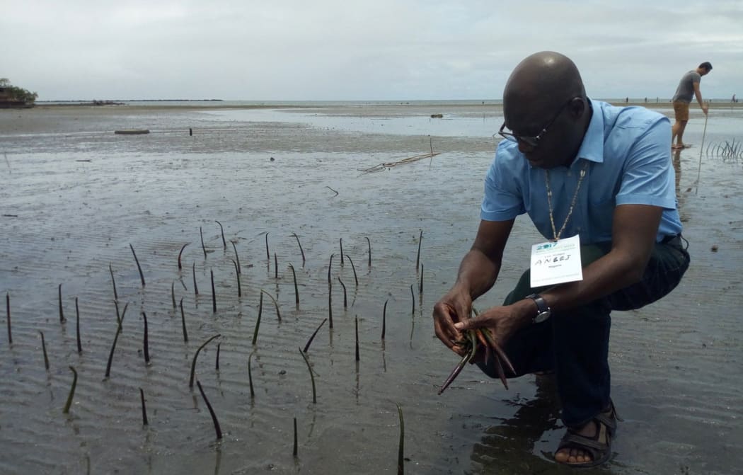 Aneej Deputy Director, Leo Atakpu planting of Mangroves at Korova community in Suva, Fiji to curb coastal as Civicus, 2017 gets underway