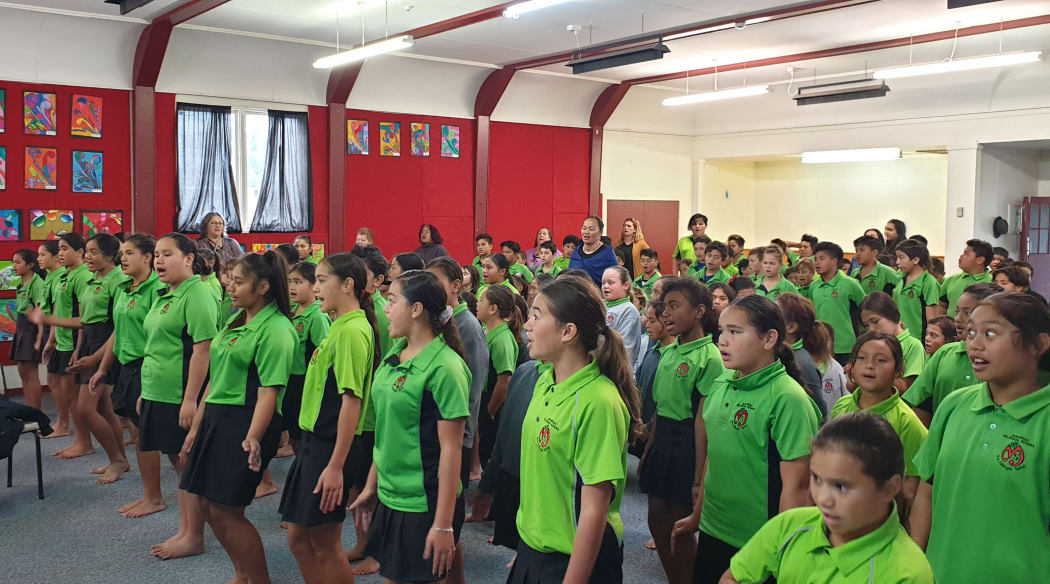 Students at Maraenui Bilingual School perform at the programme's launch at their school.