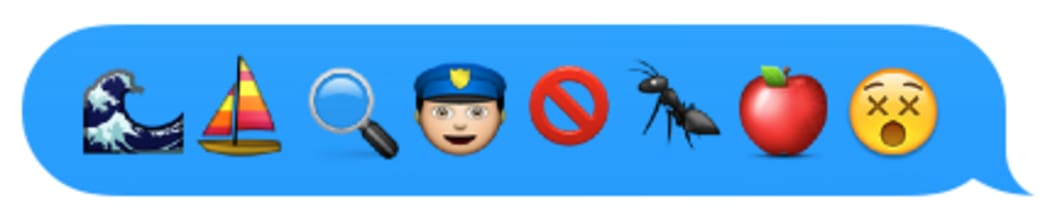 iPhone screenshot of emoji showing fruit fly inspections of yachts arriving in New Zealand