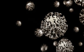 Covid-19 coronavirus particles, illustration. The new coronavirus SARS-CoV-2 (previously 2019-CoV) emerged in Wuhan, China, in December 2019.