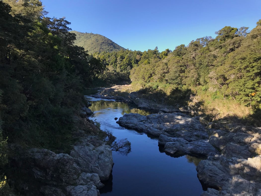 Work to restore the Te Hoiere/Pelorus catchment will begin this month.