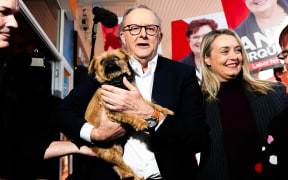 DEVONPORT, AUSTRALIA - MAY 02: Australian Prime Minister Anthony Albanese holds someone's pet dog during a to visit Rooke Street Mall shopping area on May 02, 2025 in Devonport, Australia. Australia will hold a federal election on May 3. (Photo by Asanka Ratnayake/Getty Images)