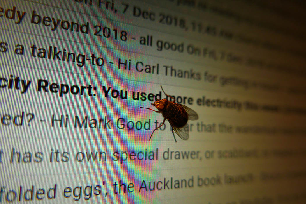 fly on screen