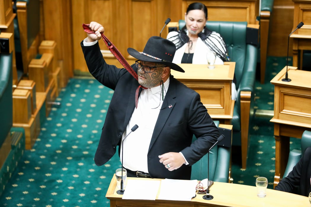 Te Paati Māori MP Rawiri Waititi gives his maiden speech at Parliament