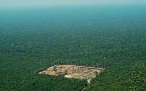 Aerial view of deforestation in the Western Amazon region of Brazil.