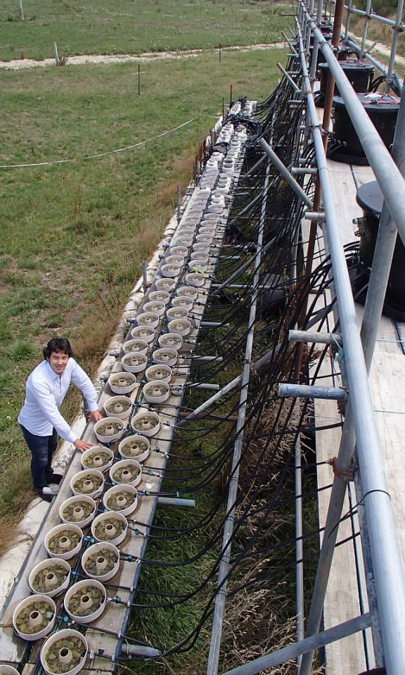 Freshwater scientist Jeremy 'Jay' Piggott next to his ExStream system, which pipes river water through 128 mesocosms and allows quite complex real-life experiments.