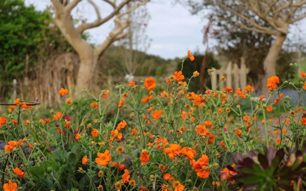 Villaleigh Garden and Nursery