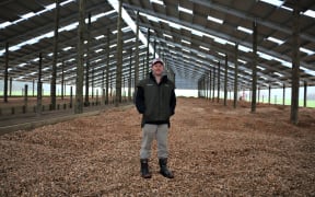 Composting barn near Karamea - Country Life