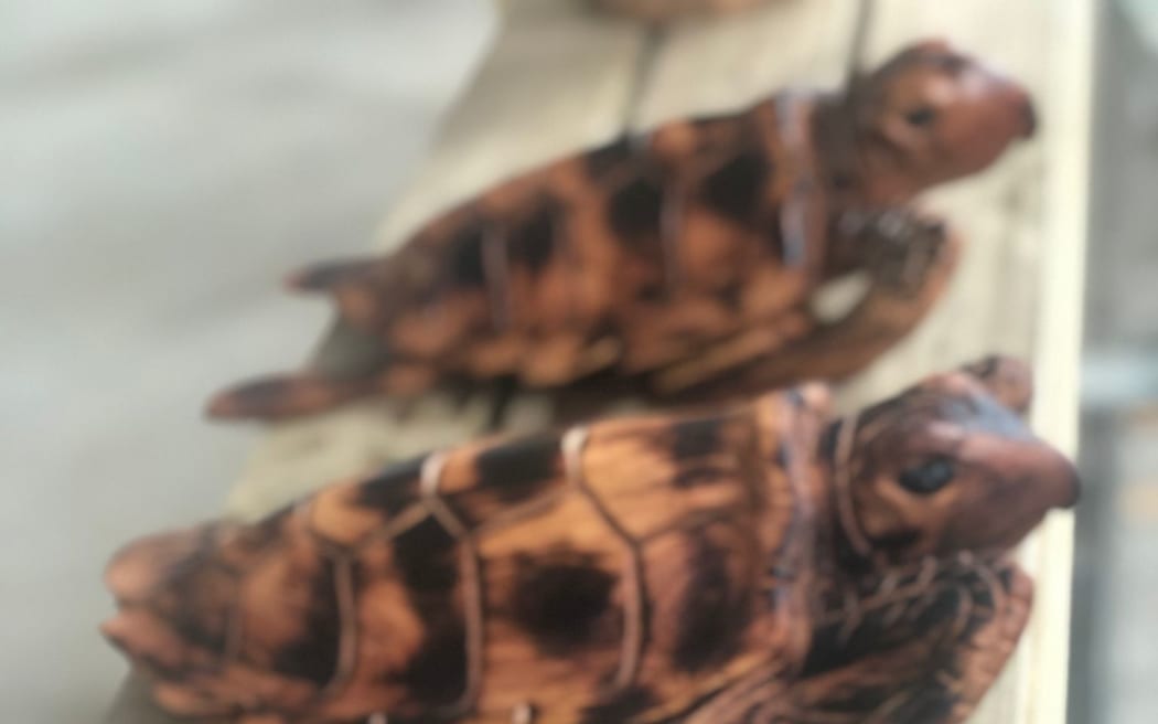 Turtles carved by Joe Dutuona at Ngakau Symposium.