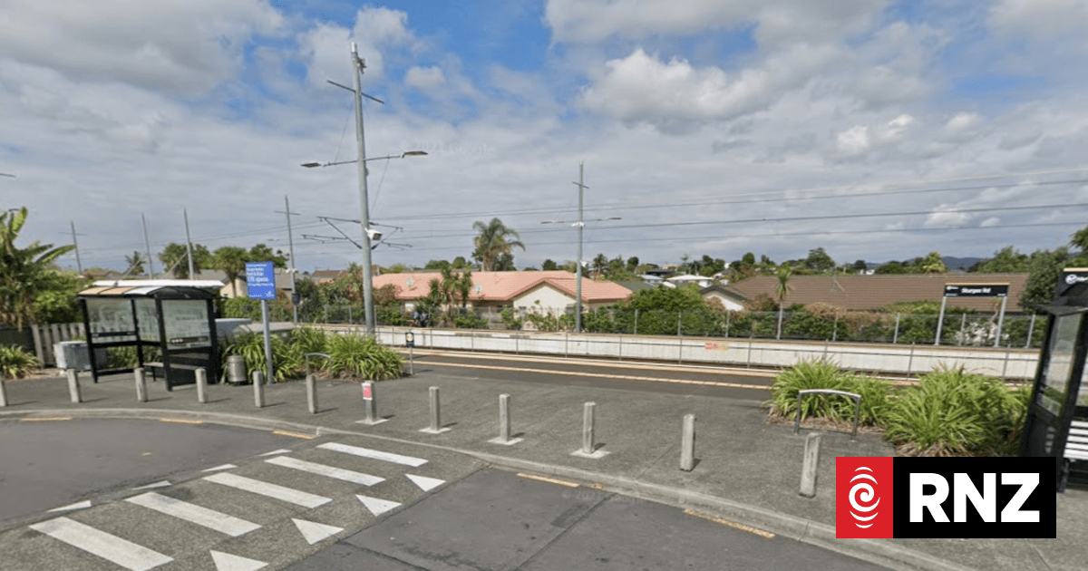 'Prior dispute' a factor in violent West Auckland train station brawl between students - police